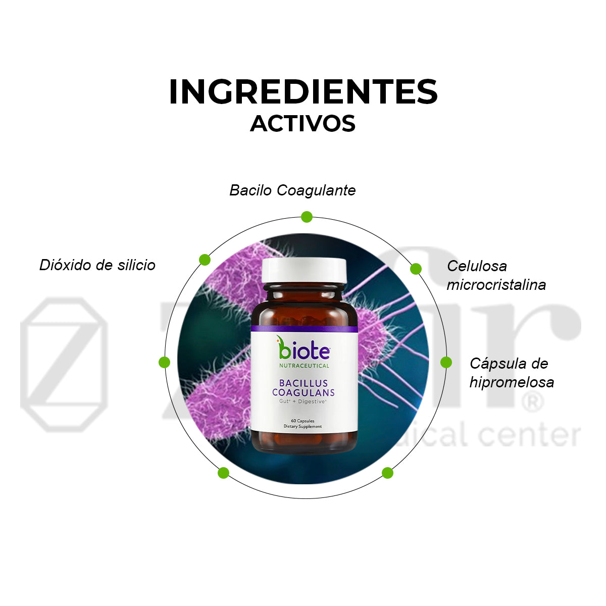 BioTE Bacillus Coagulans (60 cápsulas)