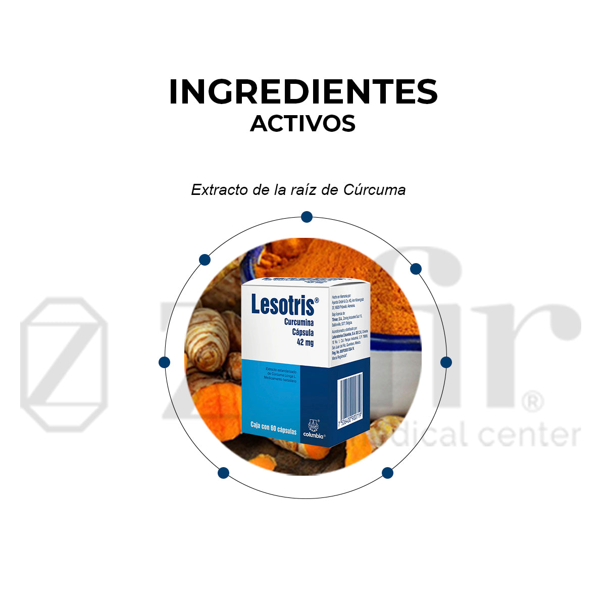 LESOTRIS EXTRACTO ESTANDARIZADO DE CÚRCUMA LONGA L. 42 MG 60 CAPSULAS