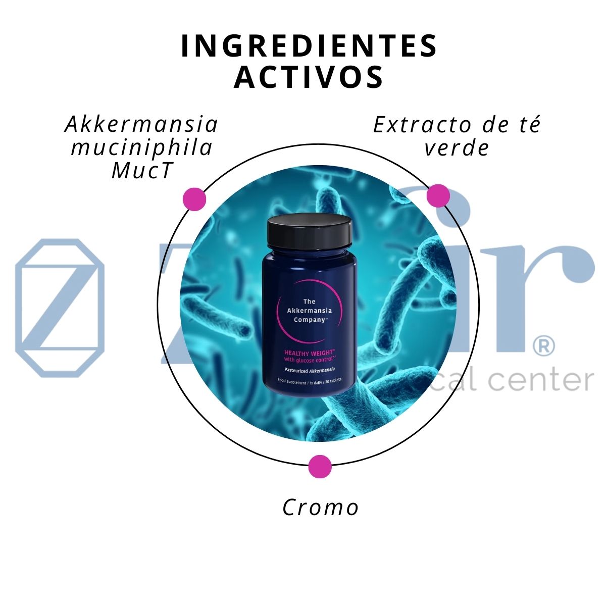 Healthy Weight With Glucose Control The Akkermansia Company
