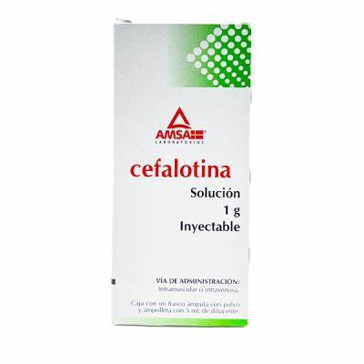 CEFALOTINA 1G/5ML 5ML INY AMSA