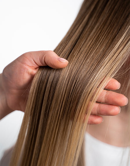 Productos para el Cuidado del Cabello