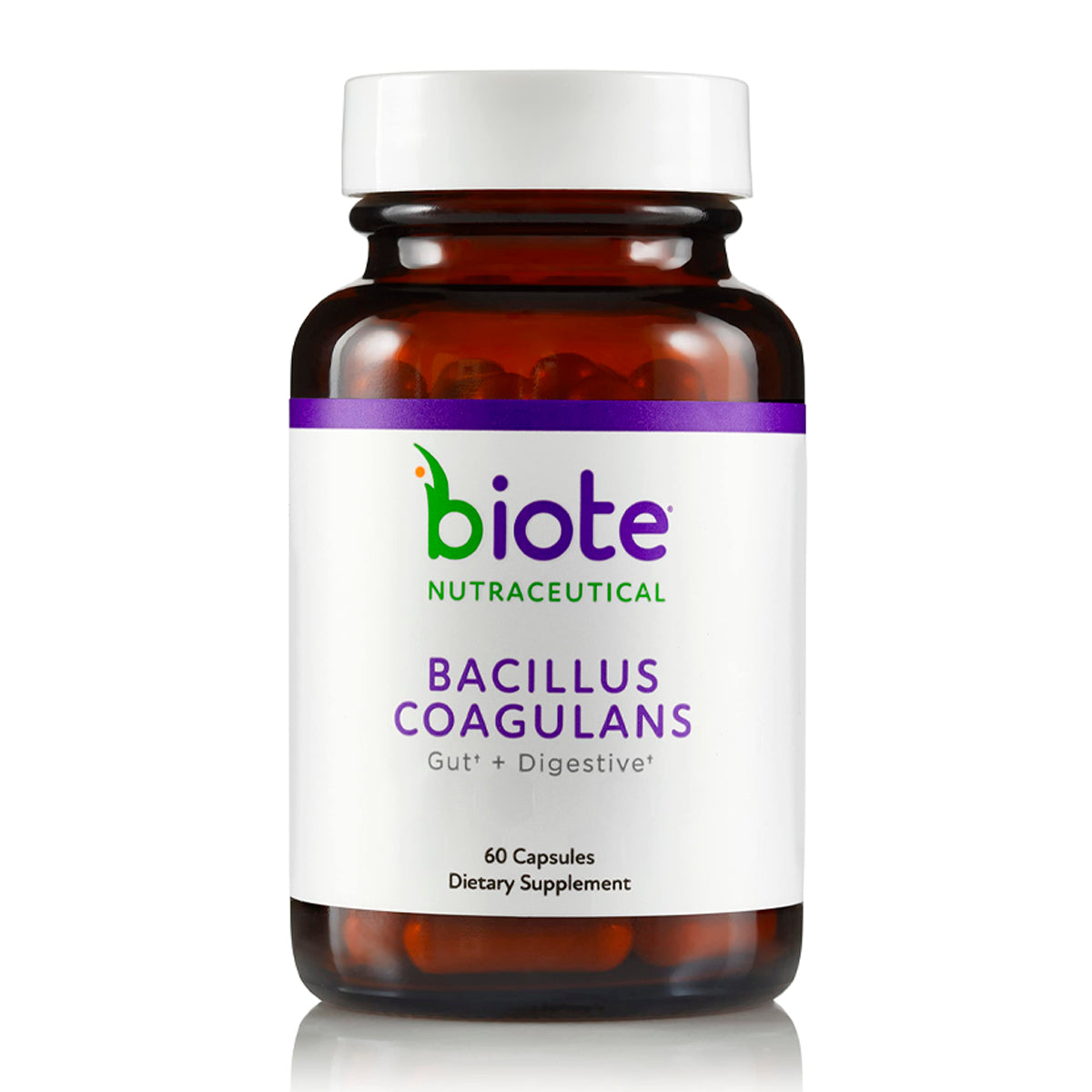 BioTE Bacillus Coagulans (60 cápsulas)