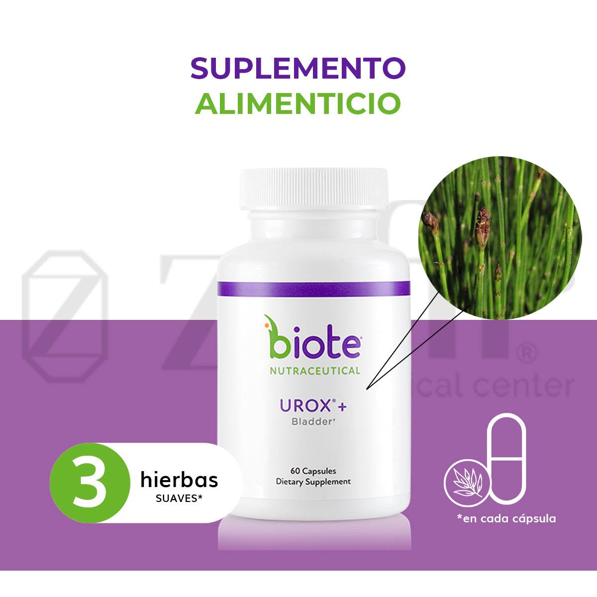 Biote Nutraceutical vH Balance - Salud Vaginal (30 cápsulas)