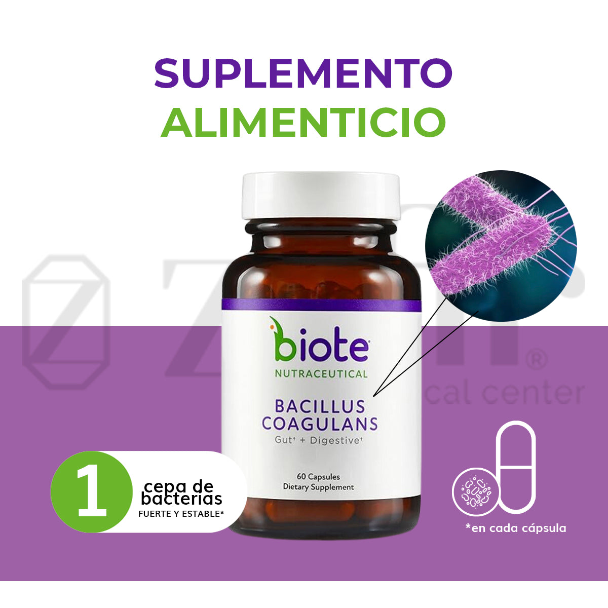 BioTE Bacillus Coagulans (60 cápsulas)