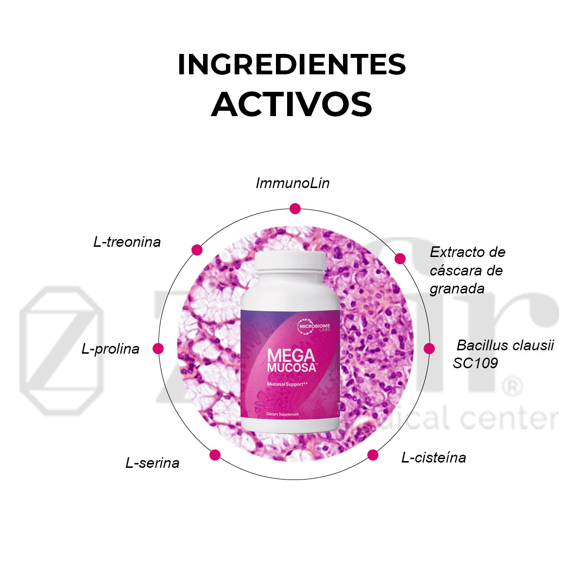 Microbiome Labs - MegaMucosa 180 Cápsulas