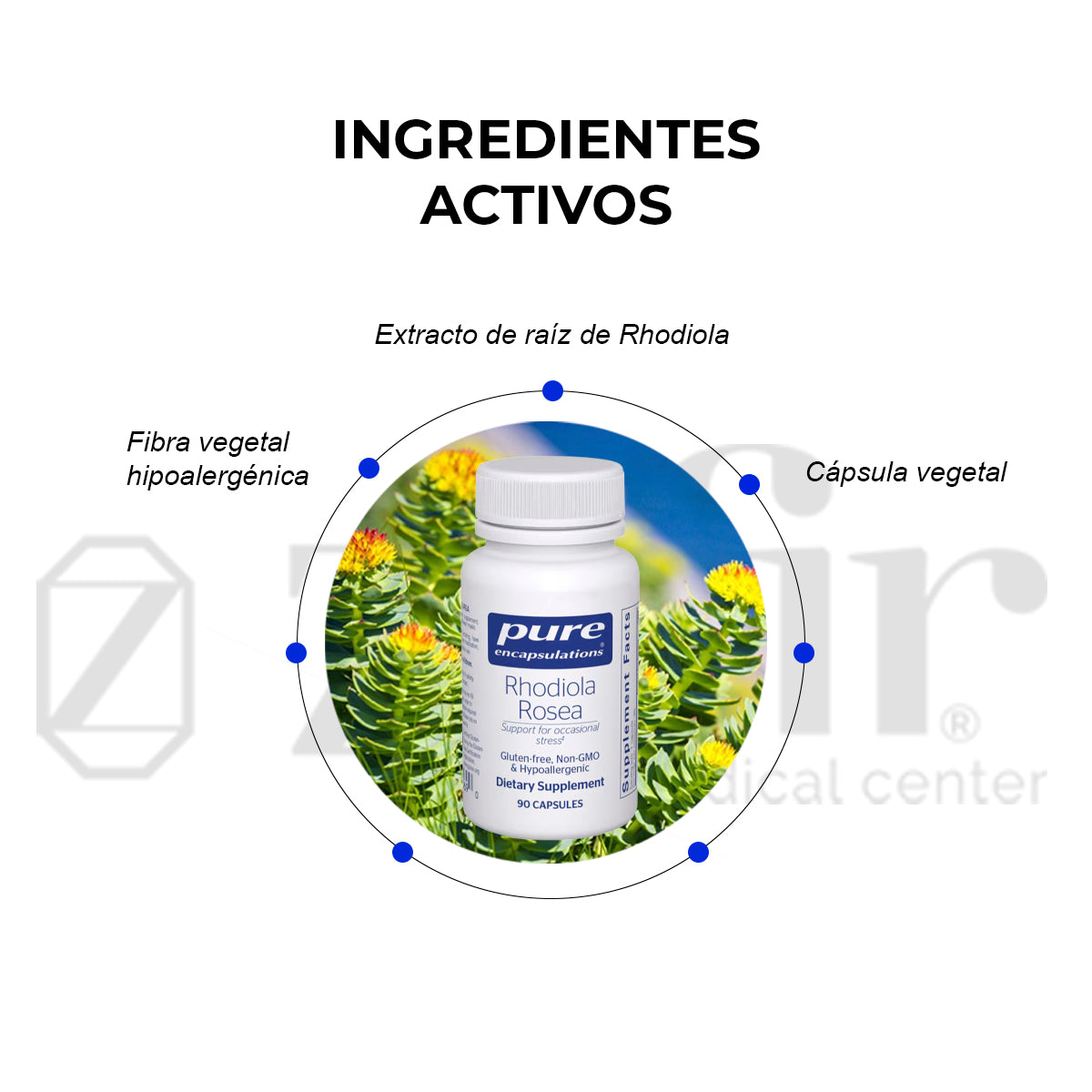 Pure Encapsulations Rhodiola Rosea 90 cápsulas