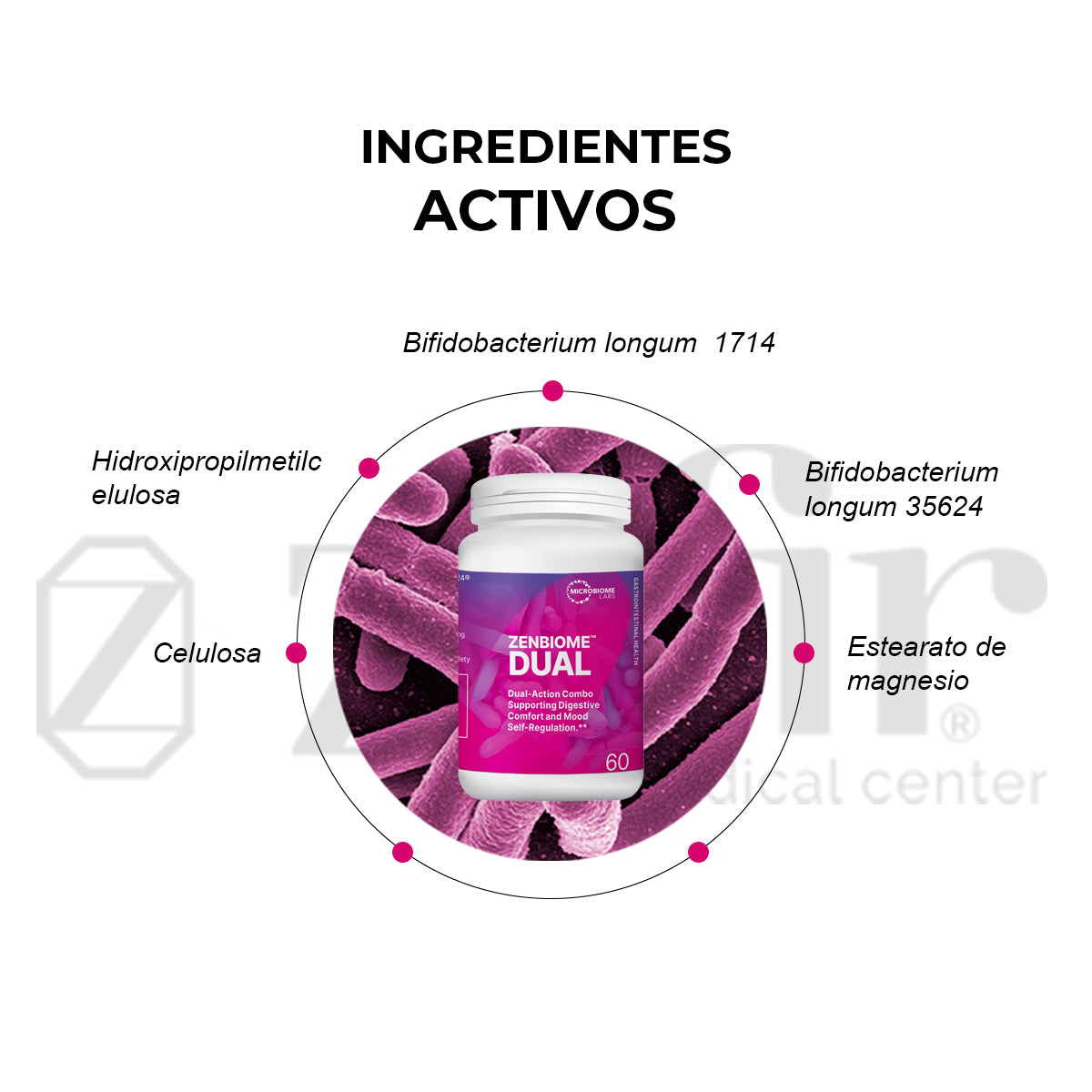 GUT-BRAIN RESET Probiotic + Psychobiotic Combo