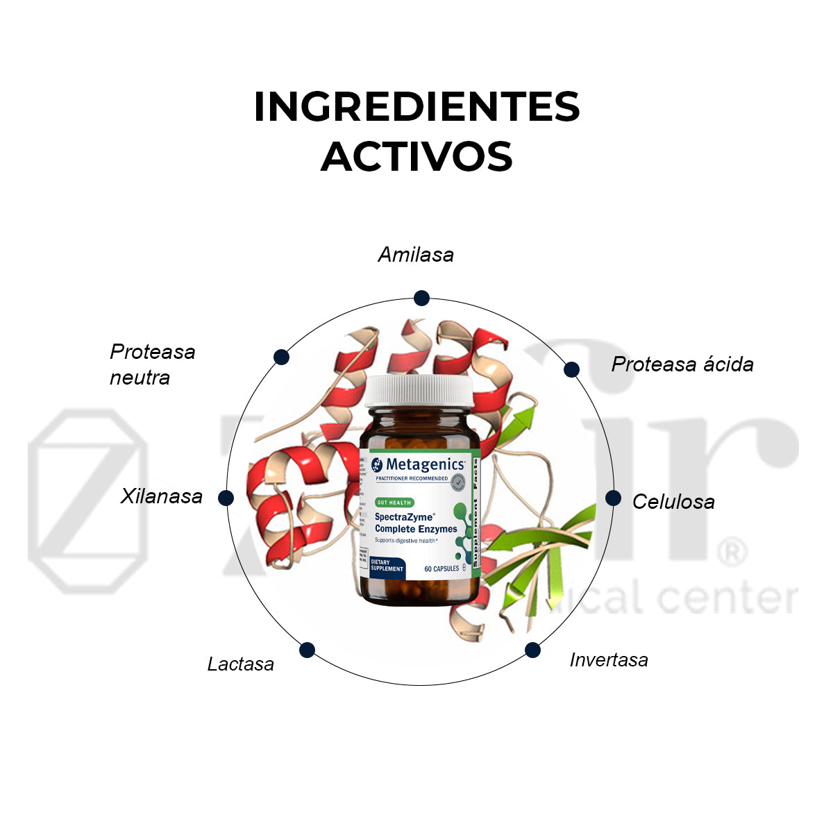 Metagenics SpectraZyme Complete (60 cápsulas)