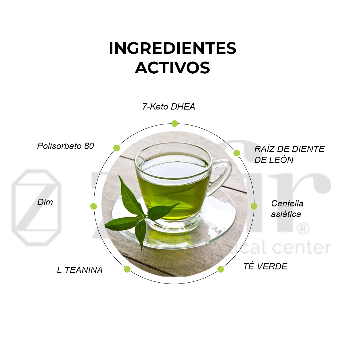 Sascha Fitness FIT 9 Fat Loss Support 120 cáps
