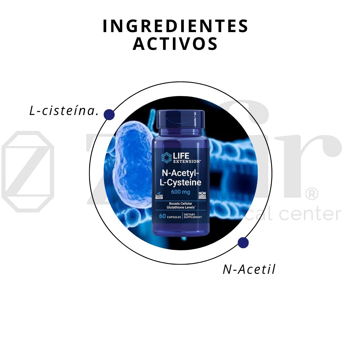 Life Extension N-Acetyl-L- Cysteine Boosts Cellular Glutahione Levels 600Mg Apoyo Inmunológico.