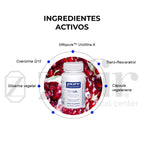 Pure Encapsulations Renual 60 Caps