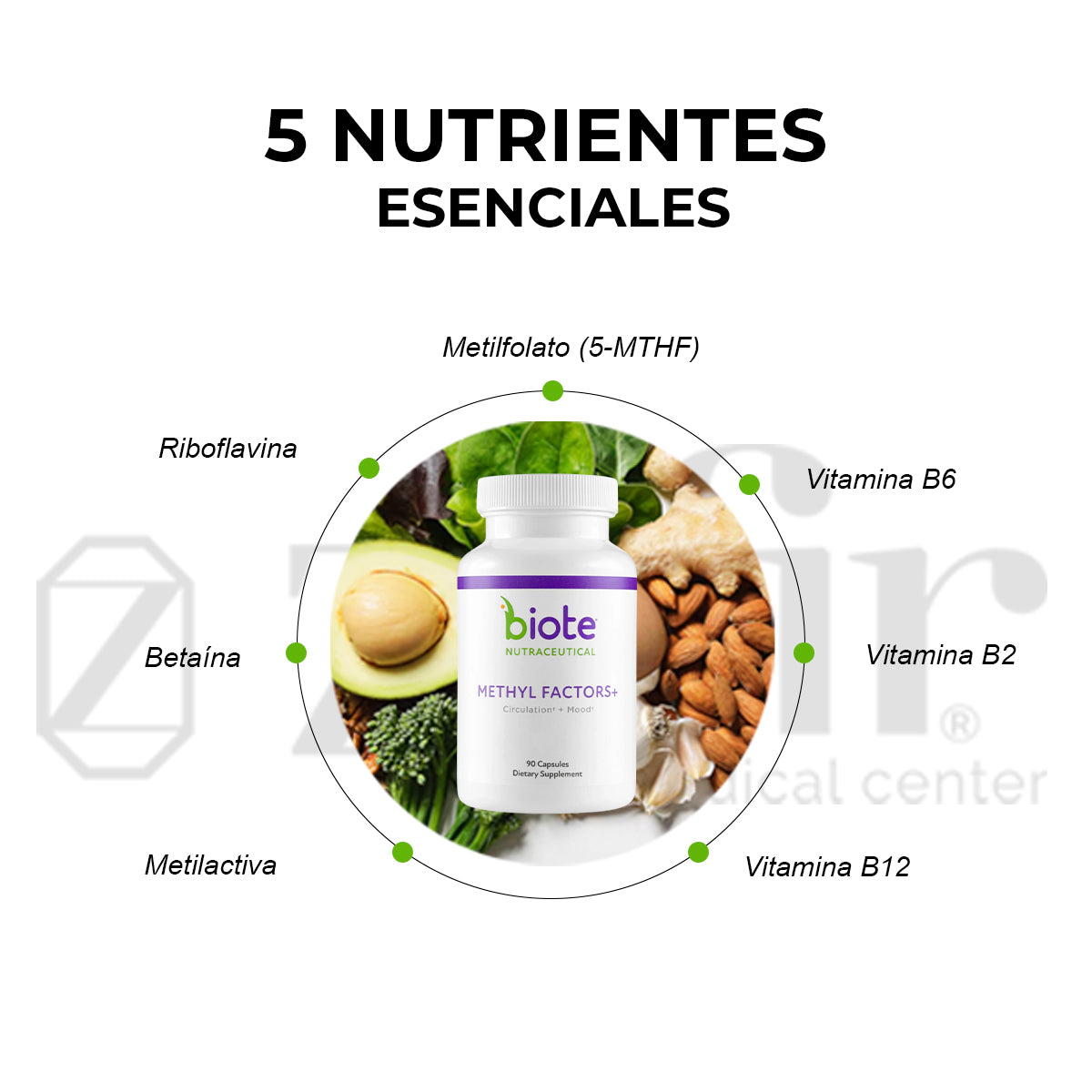 BioTE Methyl Factors (90 cápsulas)