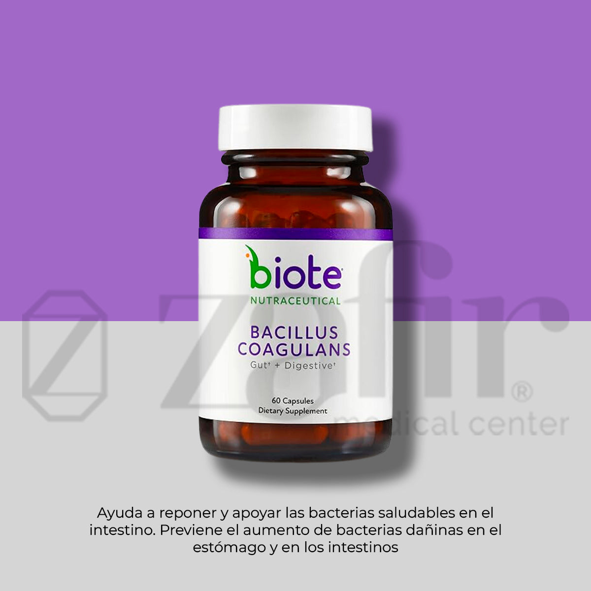 BioTE Bacilos Coagulans (60 cápsulas)