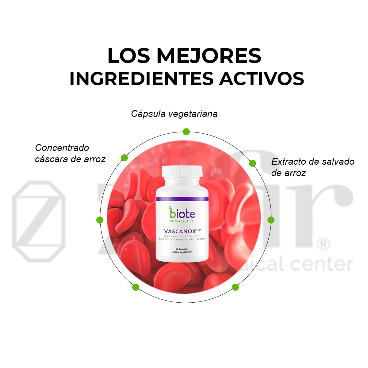Biote Nutraceutical - Vascanox HP (60 cápsulas)