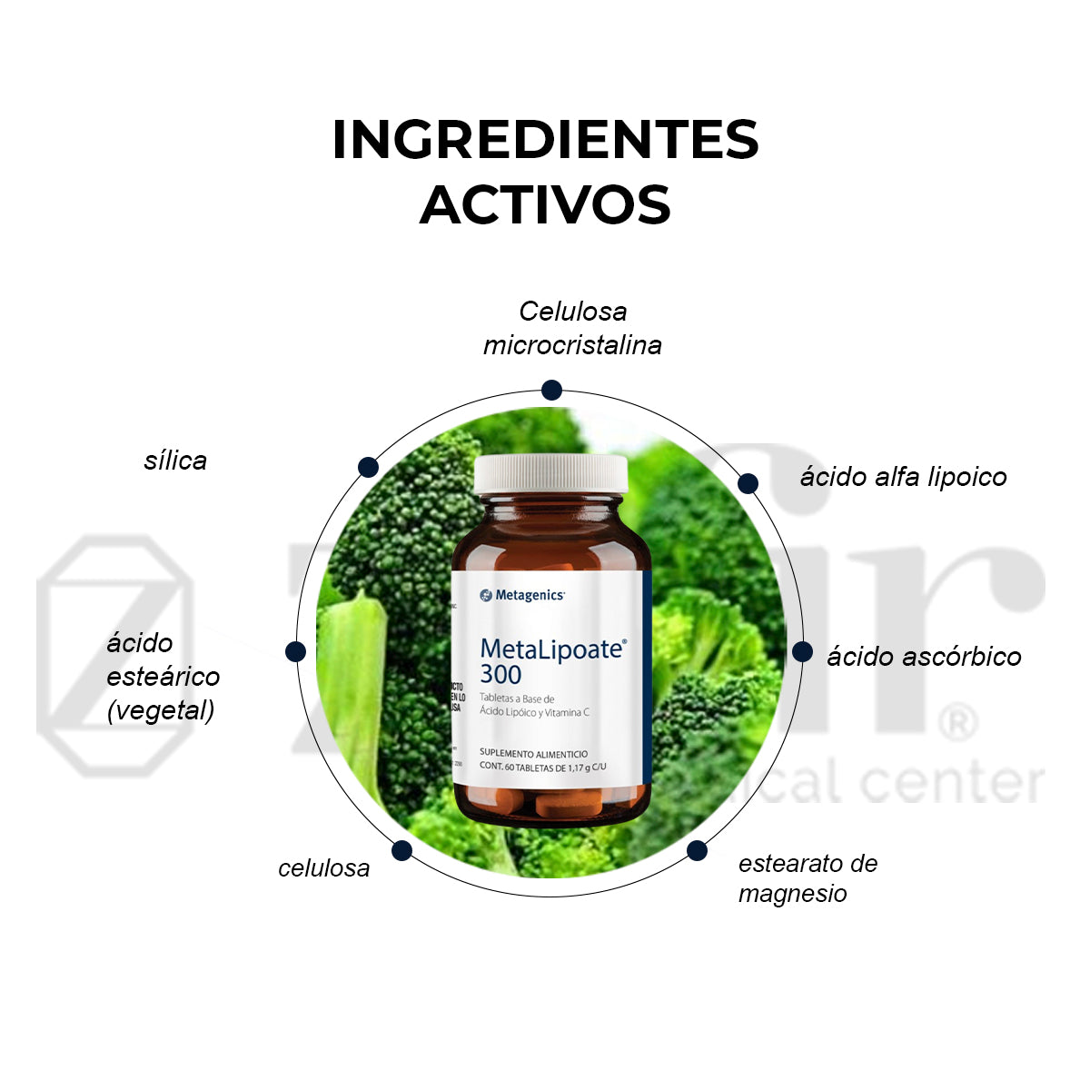 Metagenics MetaLipoate 300 60 tabletas (Antes Melipo)