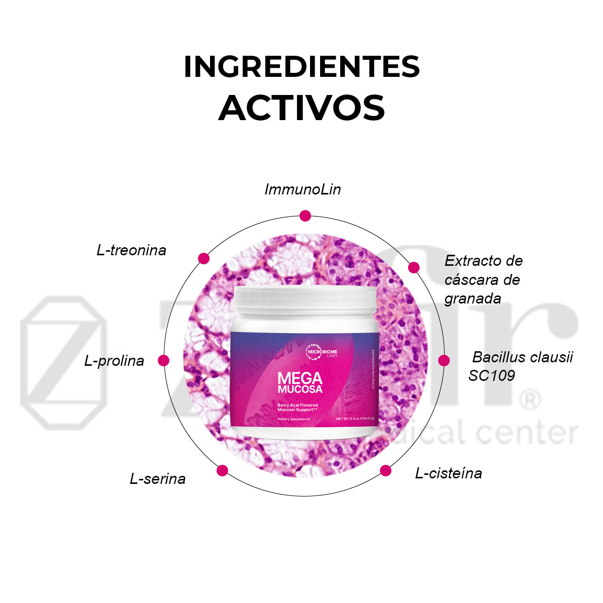 Microbiome Labs - MegaMucosa Polvo 144 gr