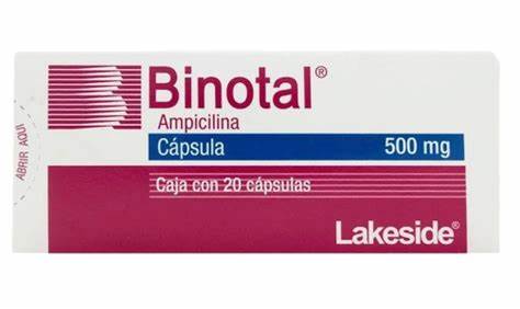 BINOTAL 500MG 20 CAPS | AMPICILINA 500MG