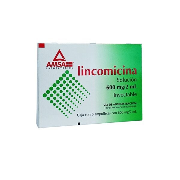 LINCOMICINA 600MG/2ML 6 AMPOLLETAS AMSA