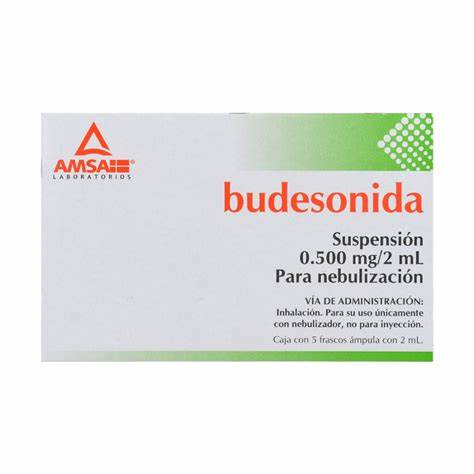 BUDESONIDA SUSP 0.500MG/2ML PARA NEBULIZAR 5 AMP AMSA