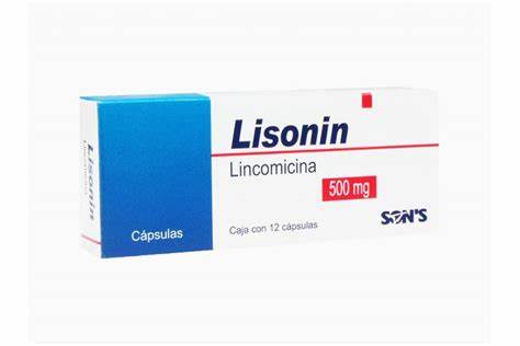 LINCOMICINA 500MG 12 CAPS LISONIN