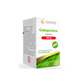 GABAPENTINA 300 MG. FRASCO CON 15 CÁPSULAS