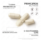 Matter Probivos Adulto | Probióticos con Glutamina para la Salud Digestiva
