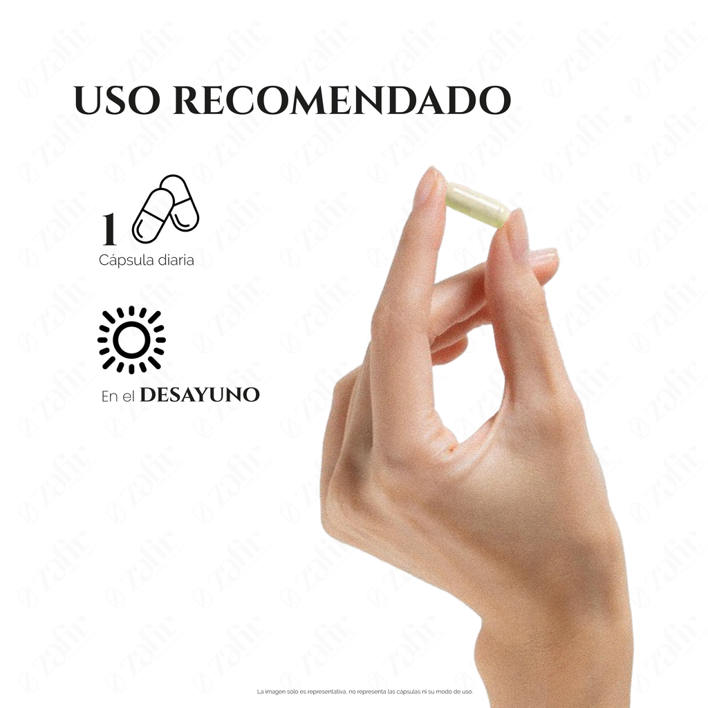 Matter Probivos Adulto | Probióticos con Glutamina para la Salud Digestiva